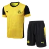 Borussia Dortmund Conjunto 2025 2026 Amarillo - Borussia Dortmund Barata | PTDHMALL
