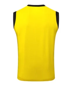 Borussia Dortmund Chándal 2025 2026 Amarillo - Chándal Borussia Dortmund | PTDHMALL