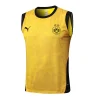 Borussia Dortmund Chándal 2025 2026 Amarillo - Chándal Borussia Dortmund | PTDHMALL