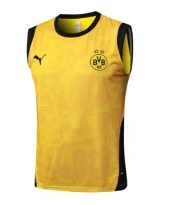 Borussia Dortmund Chándal 2025 2026 Amarillo - Chándal Borussia Dortmund | PTDHMALL