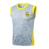Borussia Dortmund Chándal 2025 2026 Gris - Chándal Borussia Dortmund | PTDHMALL