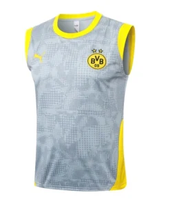 Borussia Dortmund Chándal 2025 2026 Gris - Chándal Borussia Dortmund | PTDHMALL