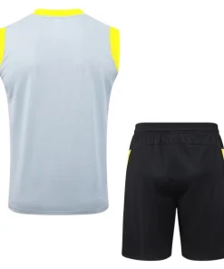 Borussia Dortmund Conjunto 2025 2026 Gris - Borussia Dortmund Barata | PTDHMALL