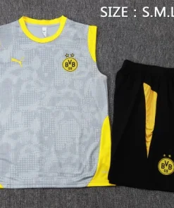 Borussia Dortmund Conjunto 2025 2026 Gris - Borussia Dortmund Barata | PTDHMALL