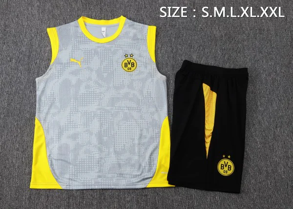 Borussia Dortmund Conjunto 2025 2026 Gris - Borussia Dortmund Barata | PTDHMALL