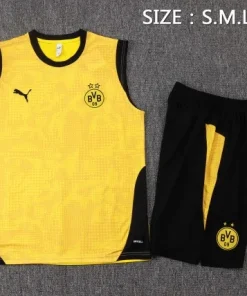 Borussia Dortmund Conjunto 2025 2026 Amarillo - Borussia Dortmund Barata | PTDHMALL