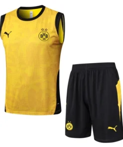 Borussia Dortmund Conjunto 2025 2026 Amarillo - Borussia Dortmund Barata | PTDHMALL