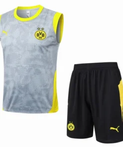 Borussia Dortmund Conjunto 2025 2026 Gris - Borussia Dortmund Barata | PTDHMALL