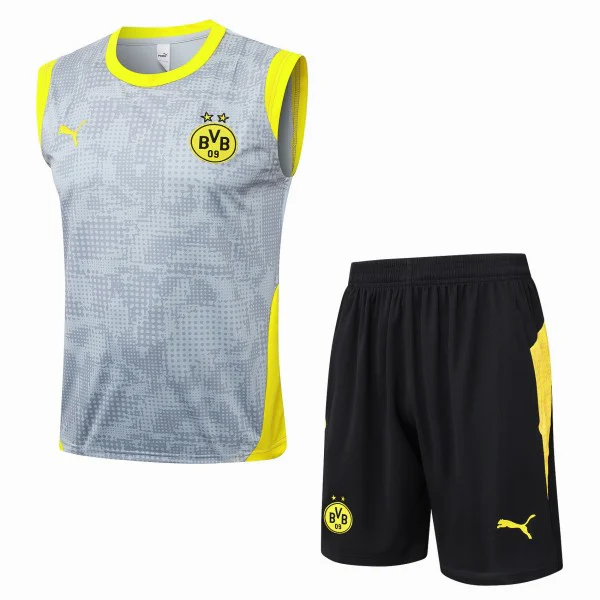 Borussia Dortmund Conjunto 2025 2026 Gris - Borussia Dortmund Barata | PTDHMALL