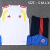 Colombia Conjunto 2026 Blanco - Colombia Barata | PTDHMALL