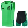 México Conjunto 2026 Verde - México Barata | PTDHMALL