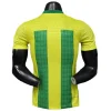 Brasil Camiseta Edición Jugadores 2026 Especial Amarilla - Camiseta Brasil | PTDHMALL