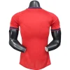 España Camiseta Edición Jugadores 2026 Especial Naranja - Camiseta España Mundial 2026 | PTDHMALL
