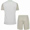 Werder Bremen Conjunto 2025 2026 Segunda Blanco - Werder Bremen Barata | PTDHMALL