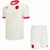 Albania Niños Conjunto 2026 Segunda Blanco - Albania Niños Barata | PTDHMALL