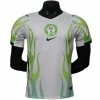 Nigeria Camiseta Edición Jugadores 2026 Segunda Blanca - Camiseta Nigeria | PTDHMALL