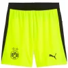 Borussia Dortmund Pantalones 2025 2026 Segunda Amarillo - Pantalón Borussia Dortmund | PTDHMALL