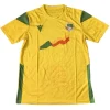 Benin Camiseta 2023 Casa Amarilla - Camiseta Benin | PTDHMALL