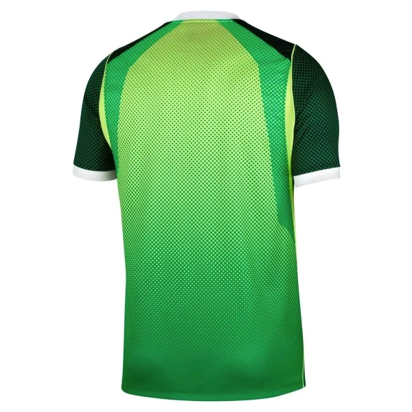 Nigeria Camiseta 2026 Casa Verde - Camiseta Nigeria | PTDHMALL