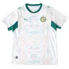 Senegal Camiseta 2026 Casa Blanca - Camiseta Senegal | PTDHMALL