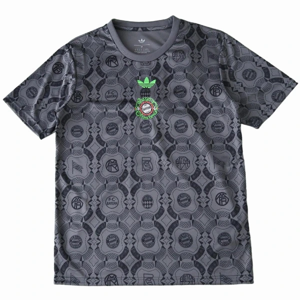 Bayern Múnich Camiseta 2025 2026 Especial Gris - Camiseta Bayern Múnich 2026 | PTDHMALL