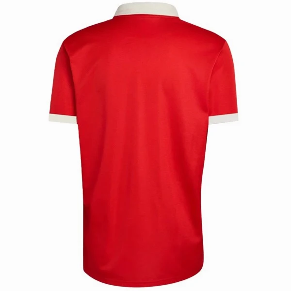 Gales Camiseta 2026 Especial Roja - Camiseta Gales Rugby | PTDHMALL