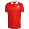 Gales Camiseta 2026 Especial Roja - Camiseta Gales Rugby | PTDHMALL