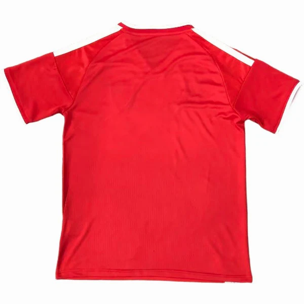 Gales Camiseta 2026 Especial Roja - Camiseta Gales Rugby | PTDHMALL