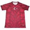 Turquía Camiseta 2026 Especial Roja - Camiseta Turquía 2026 | PTDHMALL