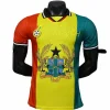 Ghana Camiseta Edición Jugadores 2026 Especial Amarilla - Camiseta Ghana 2026 | PTDHMALL