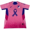 Hoffenheim Camiseta 2025 2026 Rosa - Camiseta Hoffenheim | PTDHMALL