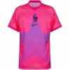 Francia Camiseta 2026 Portero Rosa - Camiseta Francia Mundial 2026 | PTDHMALL
