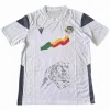 Benin Camiseta 2023 Segunda Blanca - Camiseta Benin | PTDHMALL