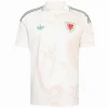 Gales Camiseta 2026 Segunda Blanca - Camiseta Gales Rugby | PTDHMALL