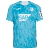 Hoffenheim Camiseta 2025 2026 Segunda Azul - Camiseta Hoffenheim | PTDHMALL