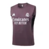 Real Madrid Camiseta 2025 2026 Púrpura - Camiseta Real Madrid | PTDHMALL