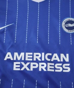 Brighton & Hove Albion Niños Conjunto 2026 2027 Casa Azul - Brighton & Hove Albion Niños Barata | PTDHMALL