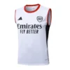 Arsenal Chándal 2025 2026 Blanco - Chándal Arsenal | PTDHMALL