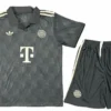 Bayern Múnich Conjunto 2024 2025 Especial Gris - Tuta Bayern Múnich | PTDHMALL