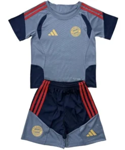 Bayern Múnich Niños Conjunto 2026 2027 Especial Gris - Bayern Múnich Niños Barata | PTDHMALL