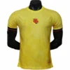 Colombia Camiseta Edición Jugadores 2026 Especial Amarilla - Camiseta Colombia | PTDHMALL