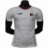 Cabo Verde Camiseta Edición Jugadores 2026 Segunda Verde - Camiseta Cabo Verde | PTDHMALL