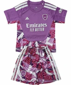 Arsenal Niños Conjunto 2026 2027 Portero Púrpura - Equipacion Arsenal Niños | PTDHMALL