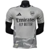 Arsenal Camiseta Edición Jugadores 2026 2027 Portero Gris - Camiseta Arsenal | PTDHMALL