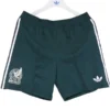 México Pantalones Edición Jugadores 2026 Segunda Verde - Pantalón México | PTDHMALL