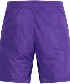 FC Barcelona Pantalones 2026 2027 Segunda Púrpura - Pantalón FC Barcelona | PTDHMALL