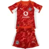 Borussia Dortmund Camiseta 2025 2026 Casa Roja - Camiseta Bundesliga Borussia Dortmund | PTDHMALL