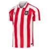 Sunderland Camiseta 2026 2027 Casa Roja - Camiseta Sunderland | PTDHMALL